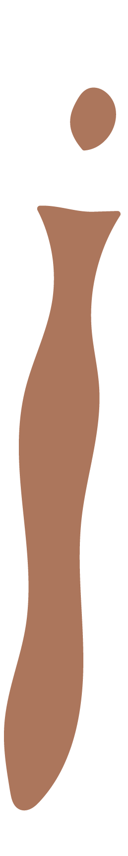 Body Shape 2